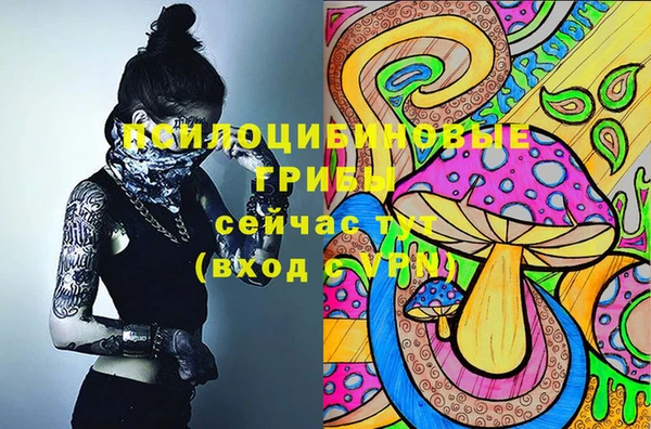 гидра Алзамай