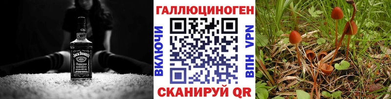 ОМГ ОМГ ТОР  Солнечногорск  Галлюциногенные грибы GOLDEN TEACHER 